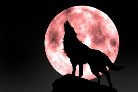 El 2020 nos trae la Luna llena del lobo - Noticias Rosarito